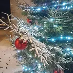 Semesterbostad Chez Eva & Leon Florenville